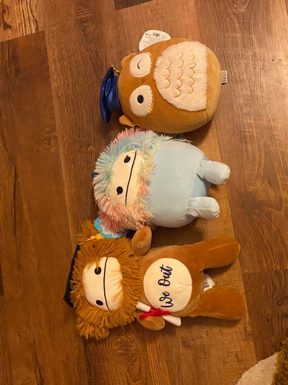 NWT Set of 3 Graduation Squishmallows!